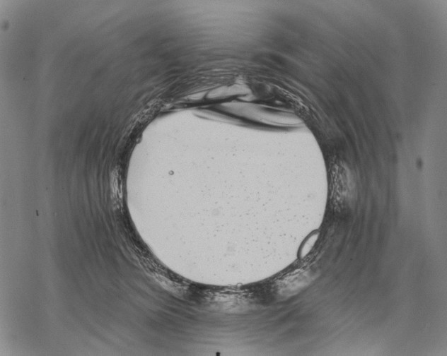 X0000068260420200605191808