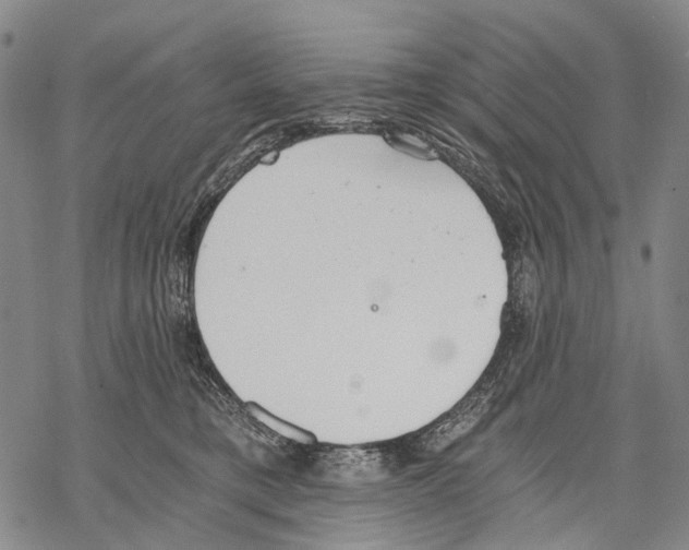 X0000068260421200605191808