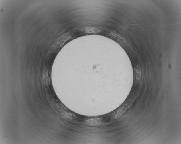 X0000068260422200605191808