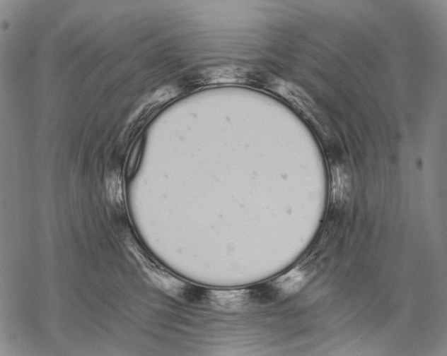 X0000068260423200605191808