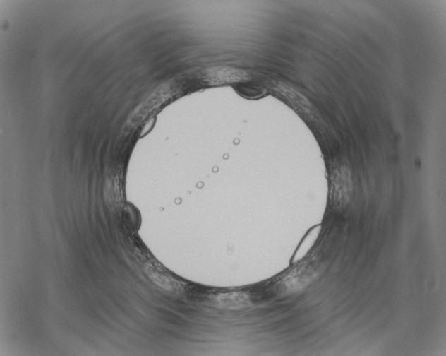 X0000068260426200605191807