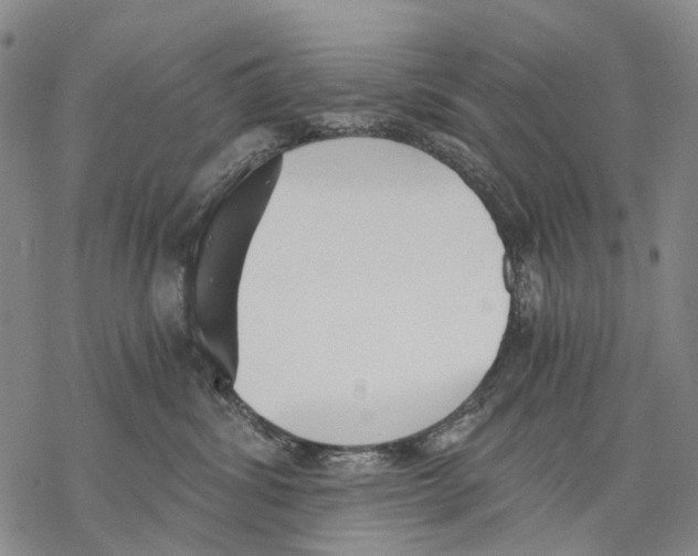 X0000068260428200605191807