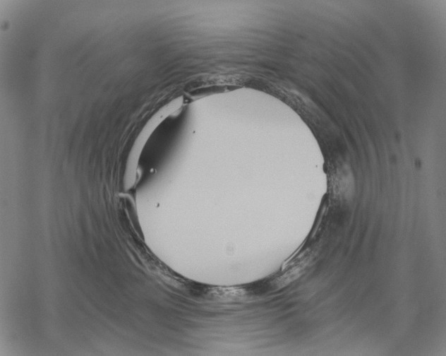 X0000068260429200605191807