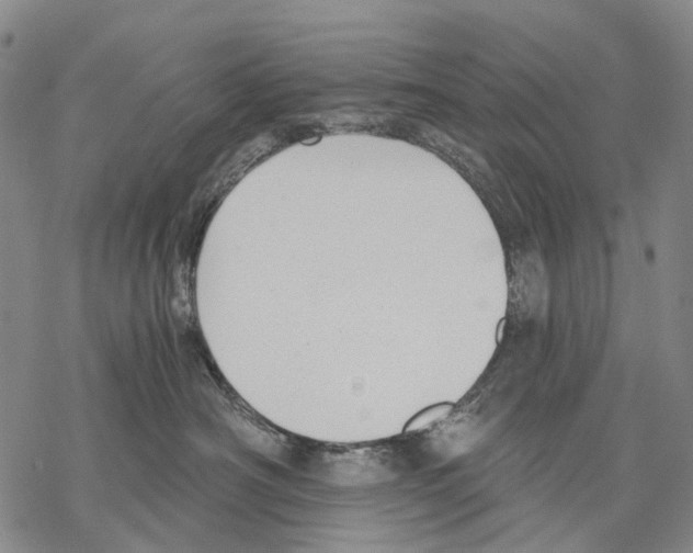 X0000068260430200605191807