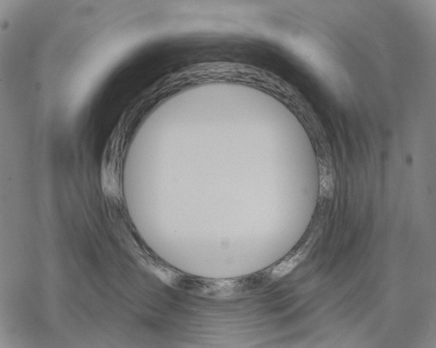 X0000068260431200605191807