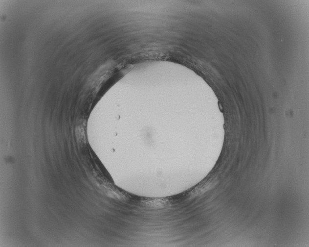 X0000068260432200605191807