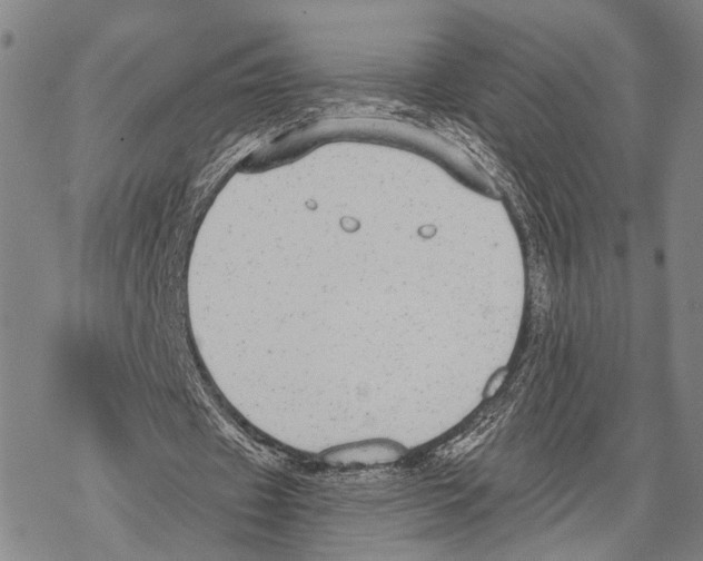 X0000068260433200605191807