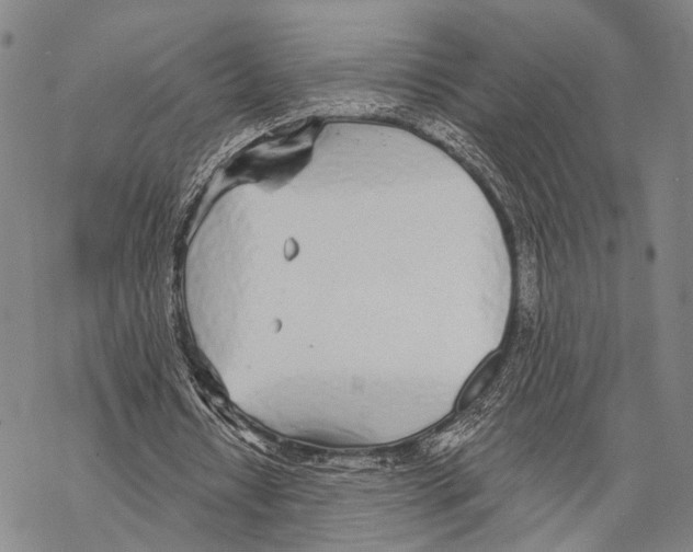 X0000068260434200605191807