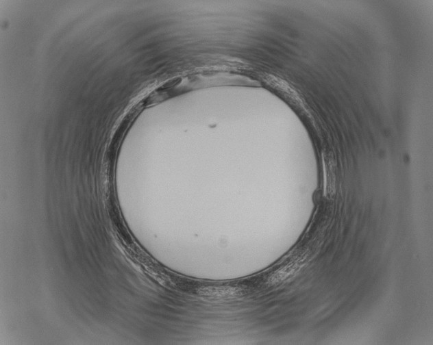 X0000068260435200605191807