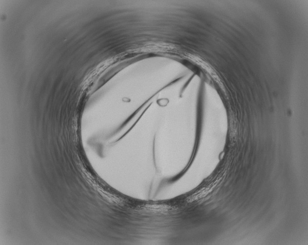 X0000068260437200605191807