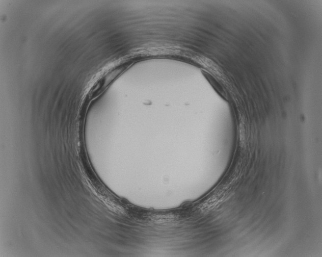 X0000068260438200605191807