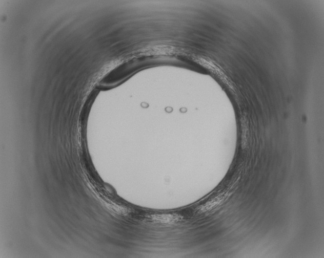 X0000068260439200605191807