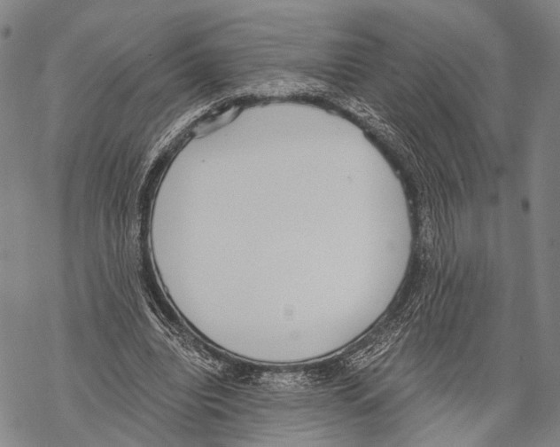 X0000068260440200605191807