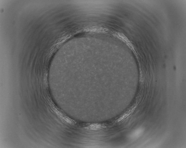 X0000068260441200605191807