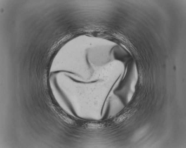 X0000068260442200605191807