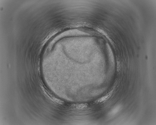 X0000068260443200605191807