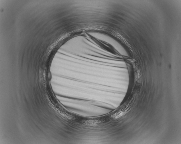 X0000068260444200605191807