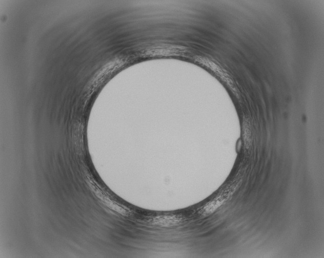 X0000068260445200605191807