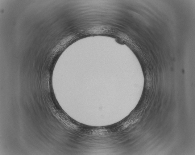 X0000068260446200605191807