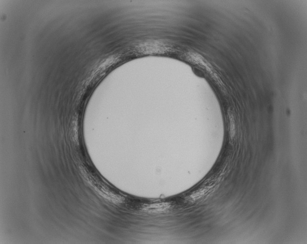 X0000068260447200605191807