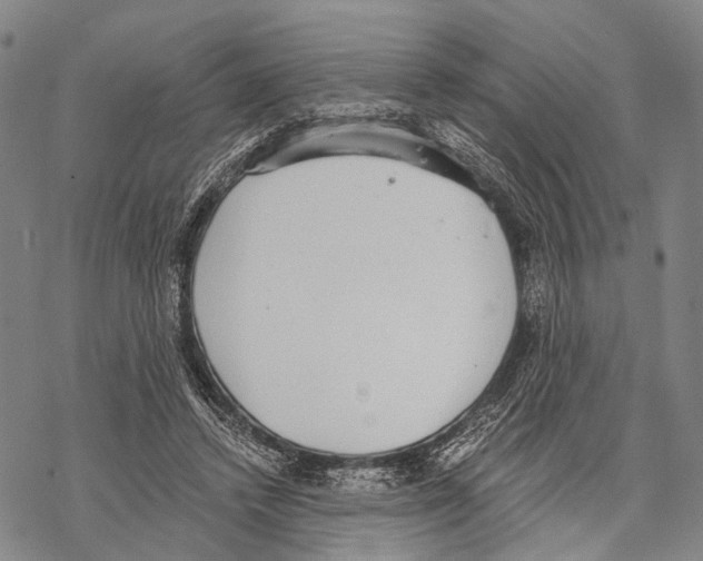 X0000068260448200605191807