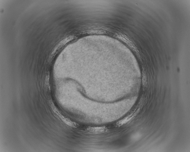 X0000068260449200605191807