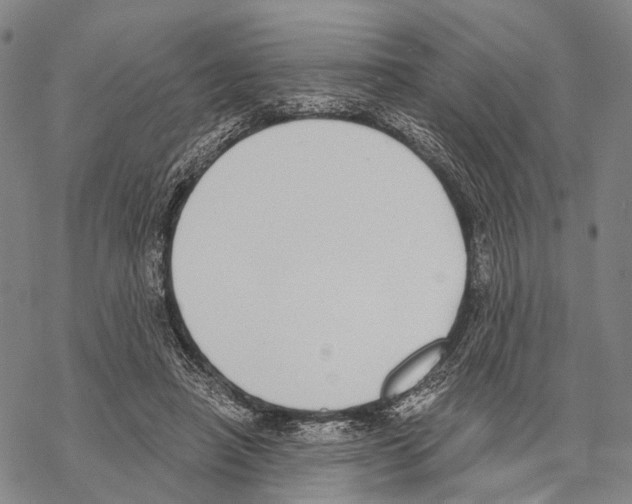 X0000068260450200605191807