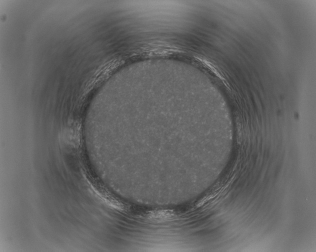 X0000068260451200605191807