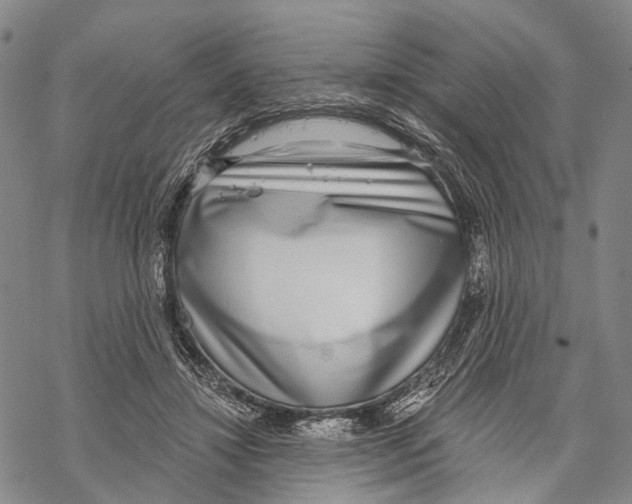 X0000068260452200605191807