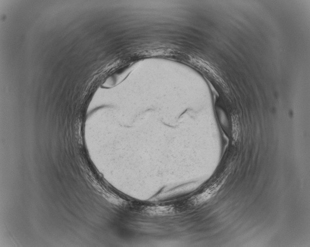 X0000068260453200605191807