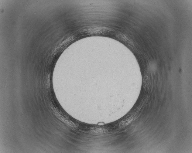 X0000068260454200605191807