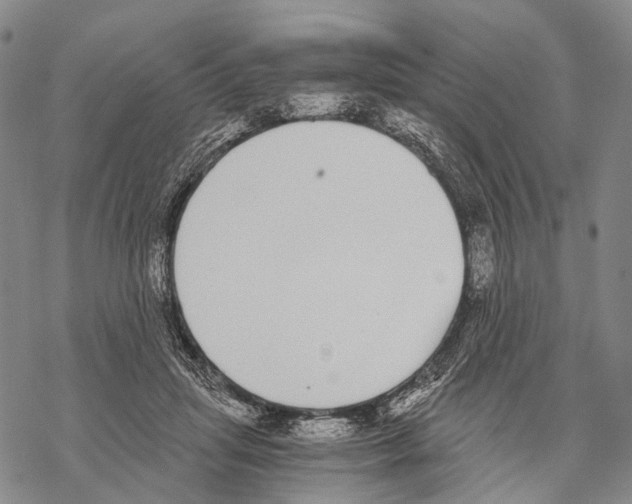 X0000068260455200605191807