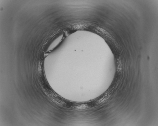 X0000068260456200605191807