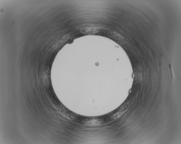 X0000068260460200605191807