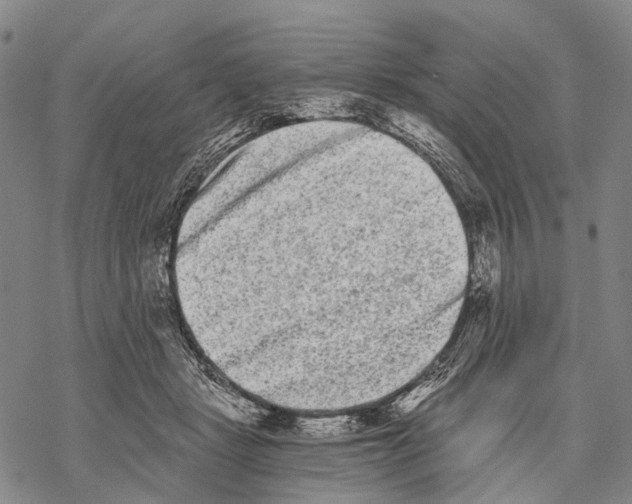 X0000068260461200605191807