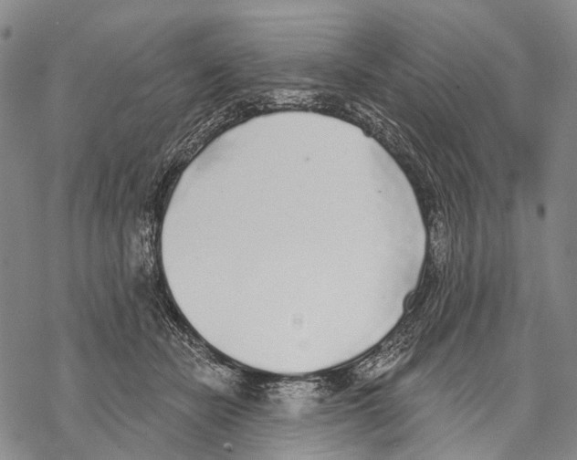 X0000068260462200605191807