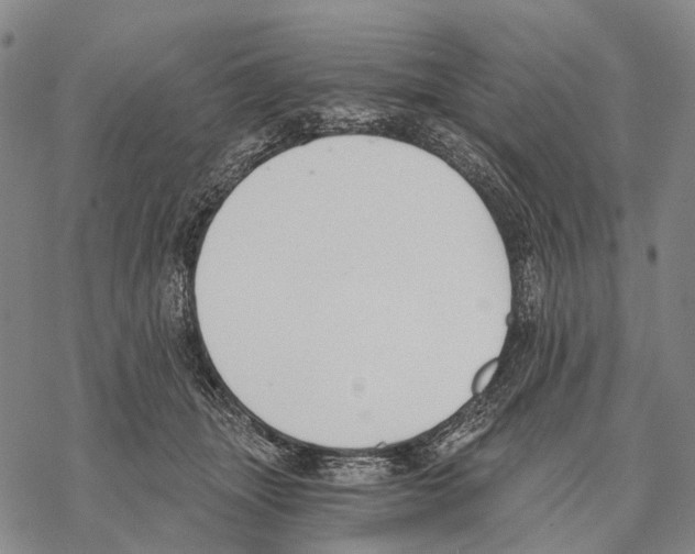 X0000068260463200605191807