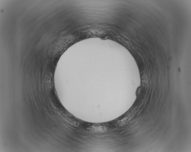 X0000068260464200605191807