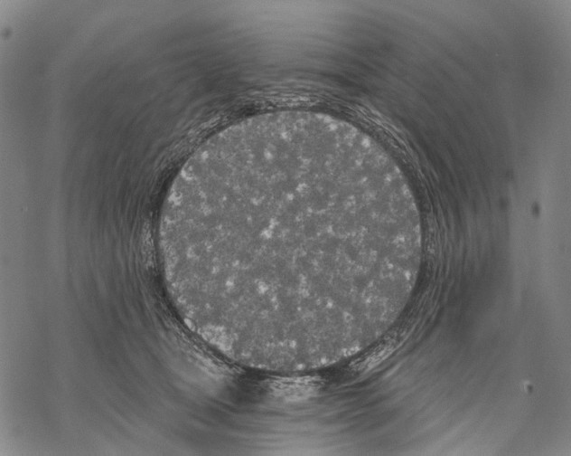 X0000068260465200605191807