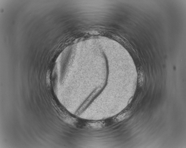 X0000068260466200605191807