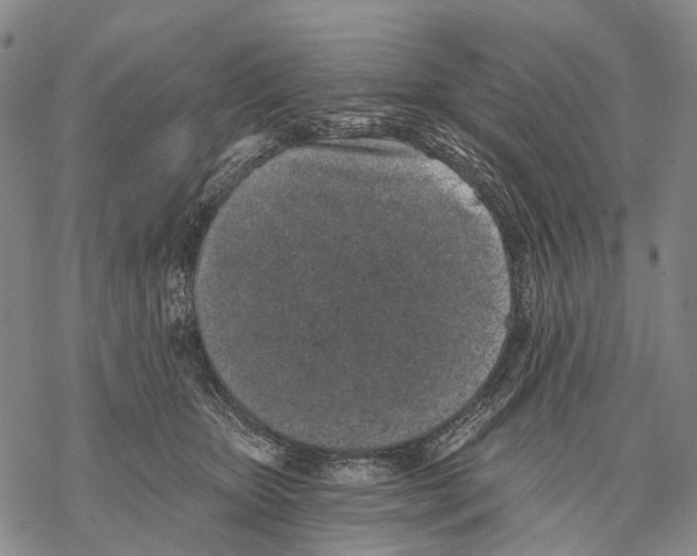 X0000068260467200605191807