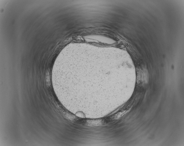 X0000068260469200605191807