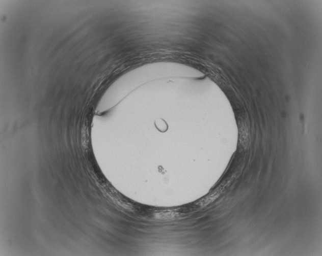 X0000068260470200605191807