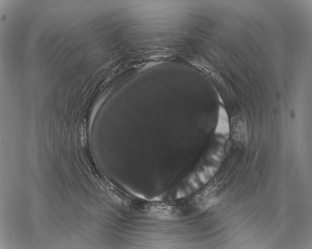 X0000068260471200605191807