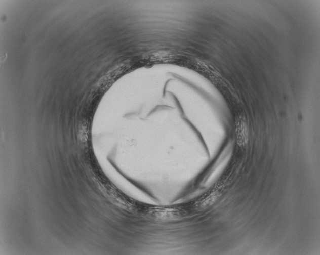 X0000068260472200605191807