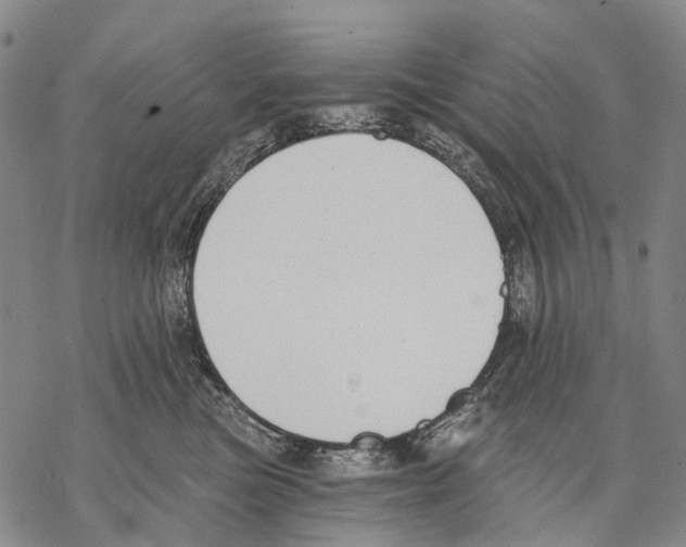 X0000068260473200605191807