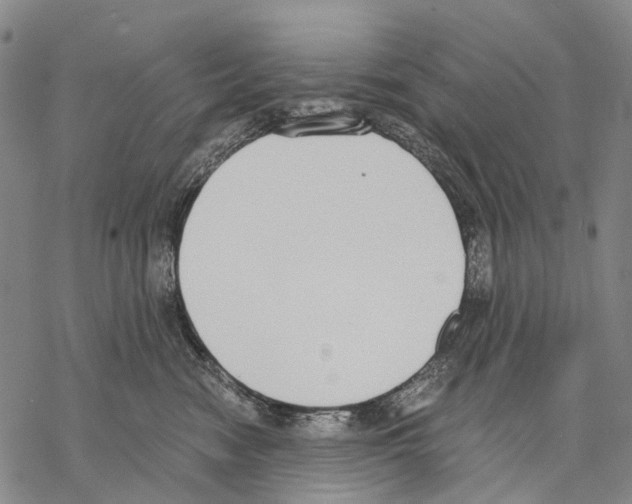 X0000068260474200605191807