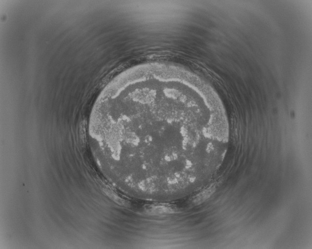 X0000068260475200605191807