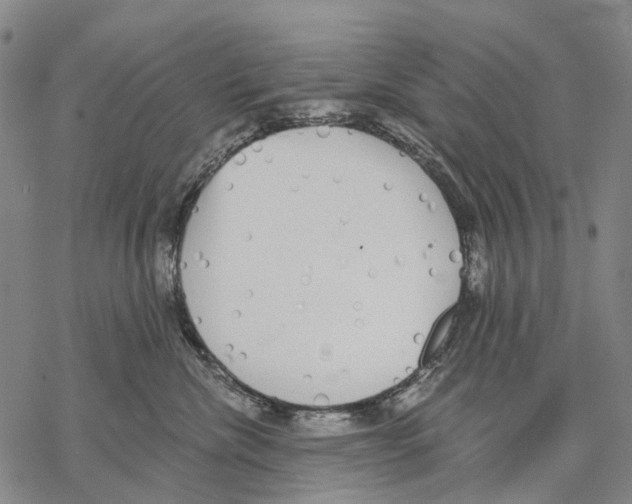 X0000068260476200605191807