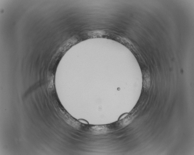 X0000068260477200605191807